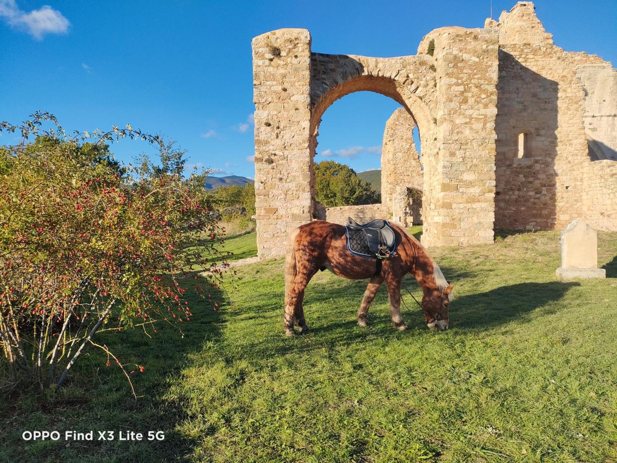 Gite A La Ferme Ongles Exterior foto
