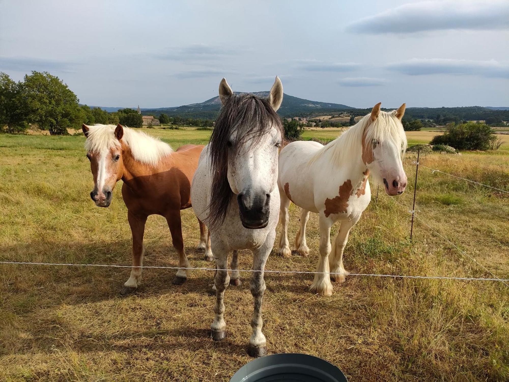 Gite A La Ferme Ongles Exterior foto