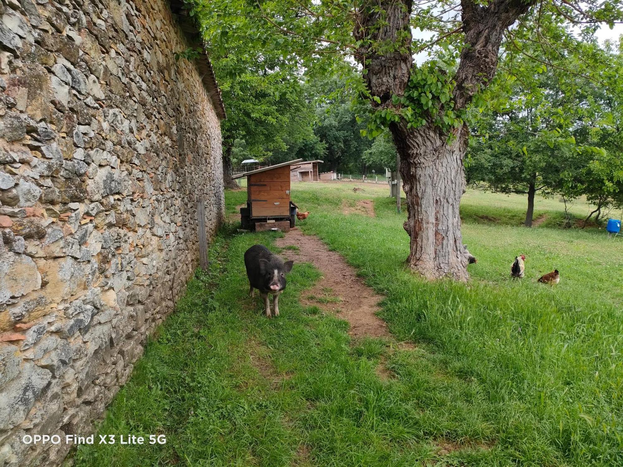 Gite A La Ferme Ongles Exterior foto