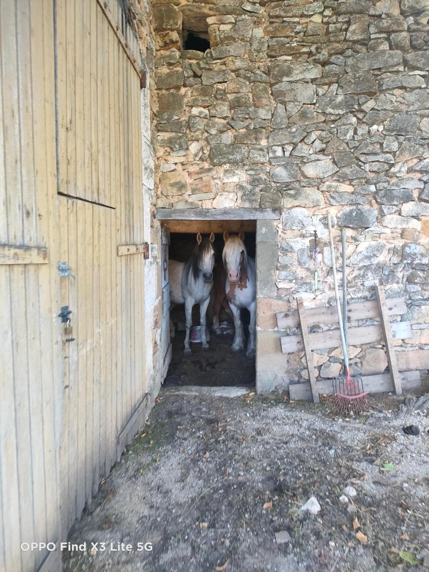 Gite A La Ferme Ongles Exterior foto